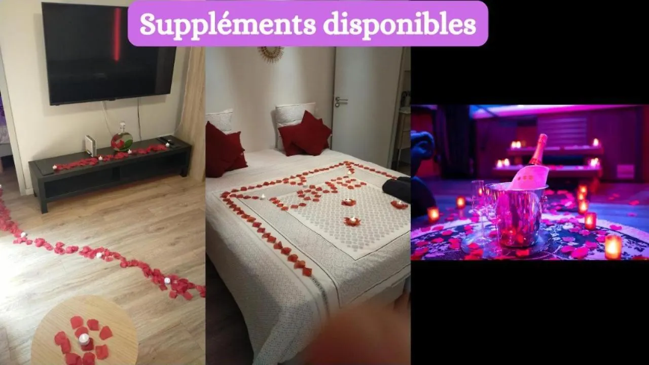 Love And Spa Love Room Jacuzzi Privee Avec Terasse تولوز فرنسا